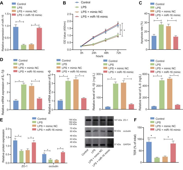 https://cdn.ncbi.nlm.nih.gov/pmc/blobs/9454/9647533/6d11ec641d6e/gr2.jpg