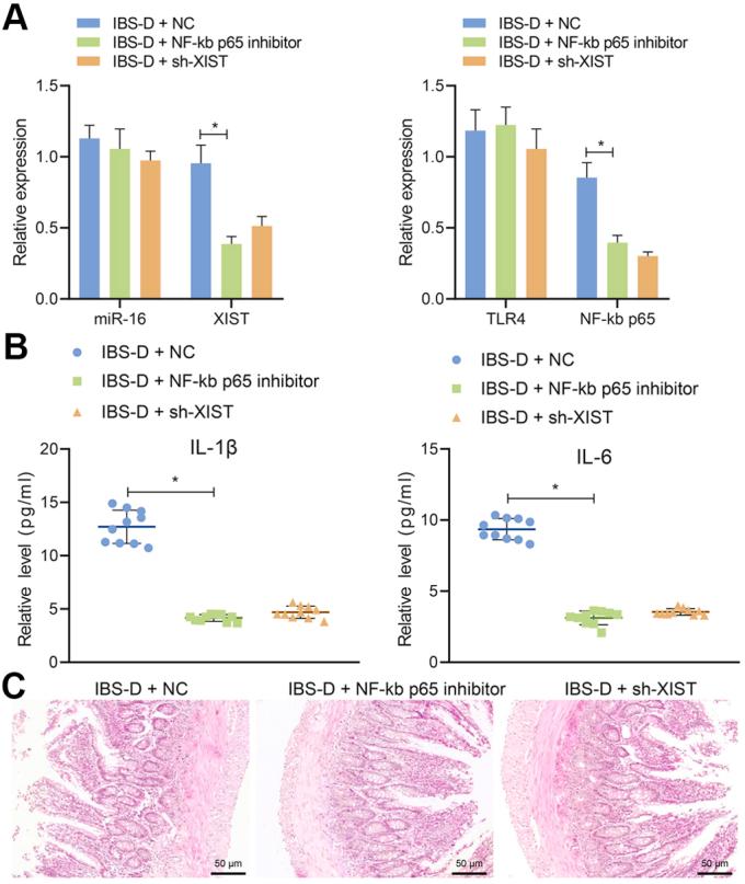 https://cdn.ncbi.nlm.nih.gov/pmc/blobs/9454/9647533/94c2c48cd78d/figs1.jpg