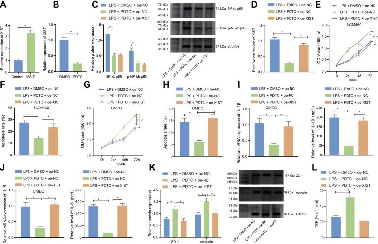 https://cdn.ncbi.nlm.nih.gov/pmc/blobs/9454/9647533/c7bdff4f2b8b/gr4.jpg