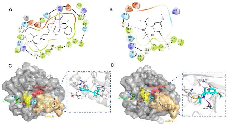 https://cdn.ncbi.nlm.nih.gov/pmc/blobs/9455/9146975/5934e0cb9f70/pharmaceuticals-15-00584-g005.jpg