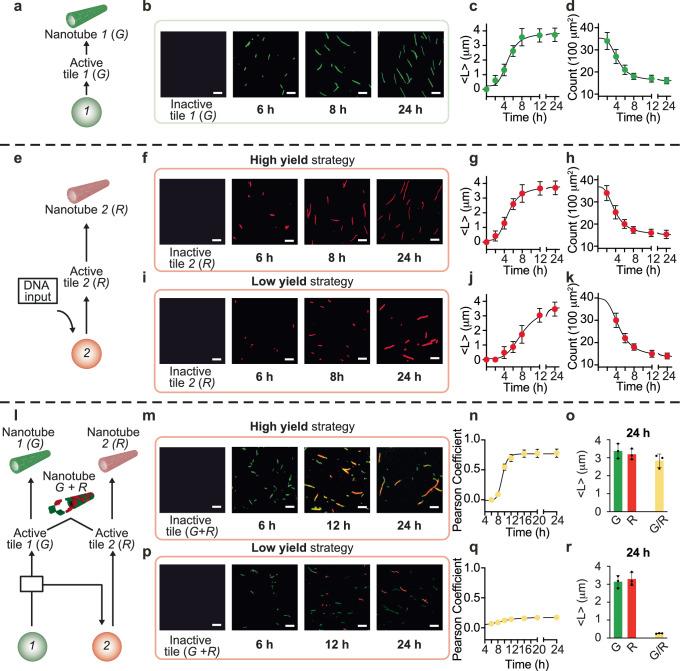 https://cdn.ncbi.nlm.nih.gov/pmc/blobs/9456/11452209/5f201999587c/41467_2024_52986_Fig4_HTML.jpg
