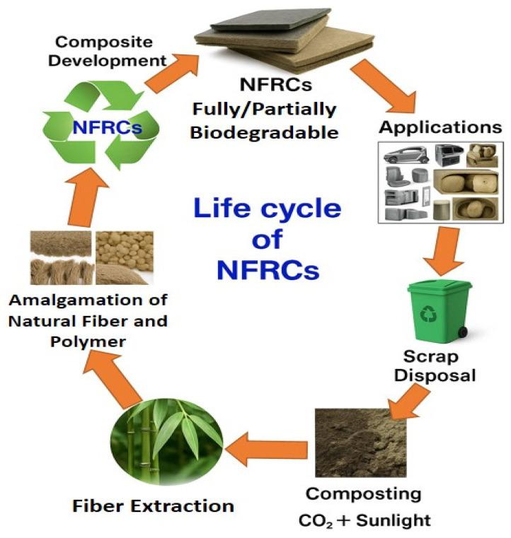 https://cdn.ncbi.nlm.nih.gov/pmc/blobs/9456/12196716/f3cd8cdfa71f/polymers-17-01691-g001.jpg