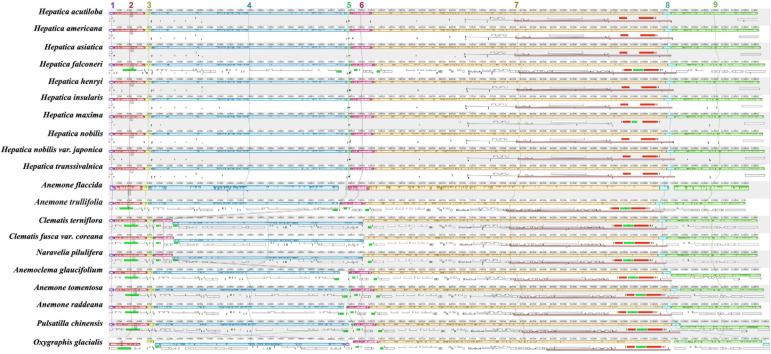 https://cdn.ncbi.nlm.nih.gov/pmc/blobs/9456/8211876/be158c23b04a/fpls-12-638580-g003.jpg