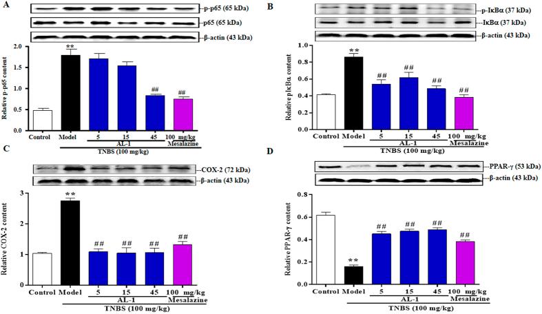 https://cdn.ncbi.nlm.nih.gov/pmc/blobs/9457/4951727/81bd8837ce6f/srep29716-f6.jpg
