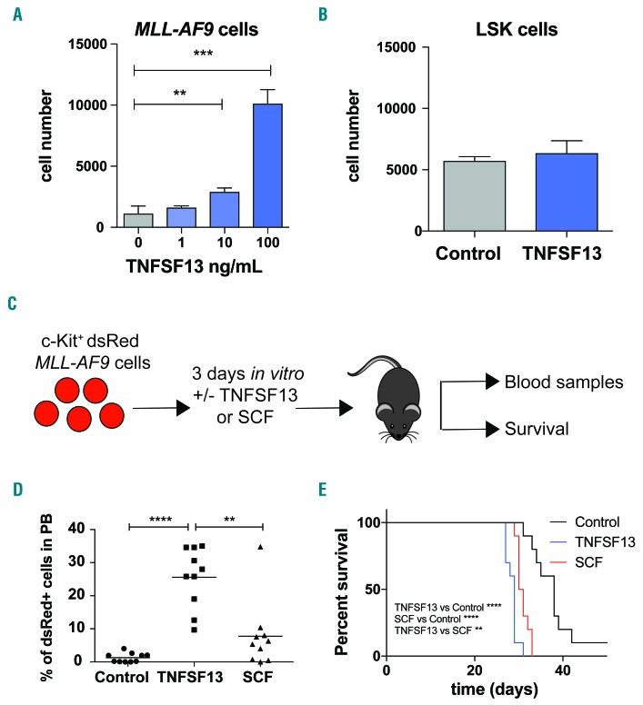 https://cdn.ncbi.nlm.nih.gov/pmc/blobs/9458/6886409/6b593161b640/1042006.fig2.jpg