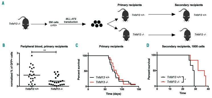 https://cdn.ncbi.nlm.nih.gov/pmc/blobs/9458/6886409/7b7de7d3869c/1042006.fig5.jpg