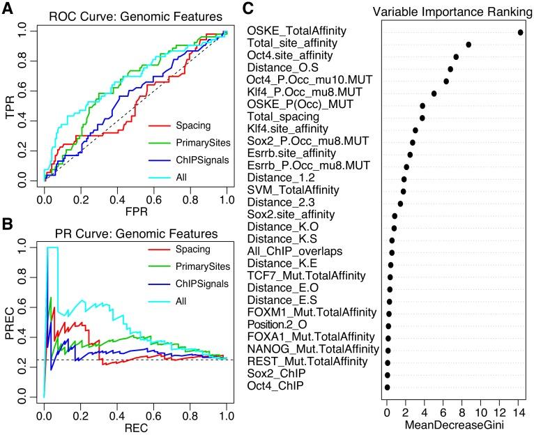 https://cdn.ncbi.nlm.nih.gov/pmc/blobs/9459/7077988/bf231e44d27b/elife-41279-fig6.jpg