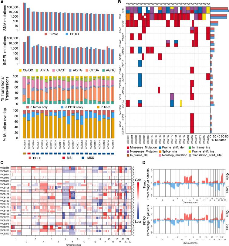 https://cdn.ncbi.nlm.nih.gov/pmc/blobs/945b/10783557/3277821f5e3b/gr2.jpg