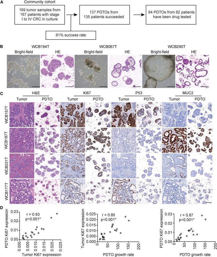 https://cdn.ncbi.nlm.nih.gov/pmc/blobs/945b/10783557/883f17bdf65d/gr1.jpg