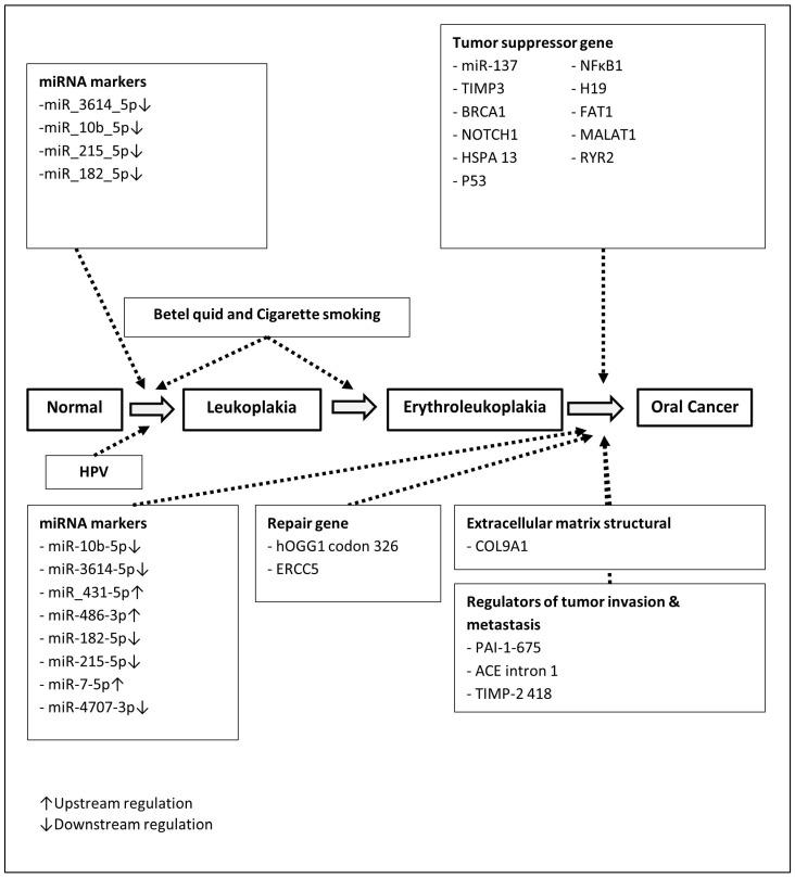 https://cdn.ncbi.nlm.nih.gov/pmc/blobs/945b/12248456/259b0d73c7ea/cancers-17-02114-g001.jpg
