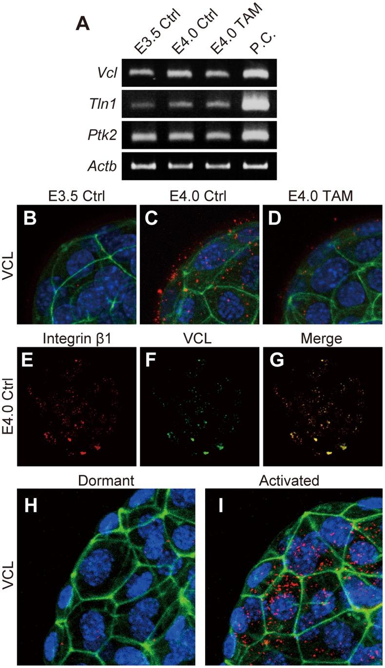 https://cdn.ncbi.nlm.nih.gov/pmc/blobs/945c/3494704/5f5d66273279/pone.0048933.g003.jpg