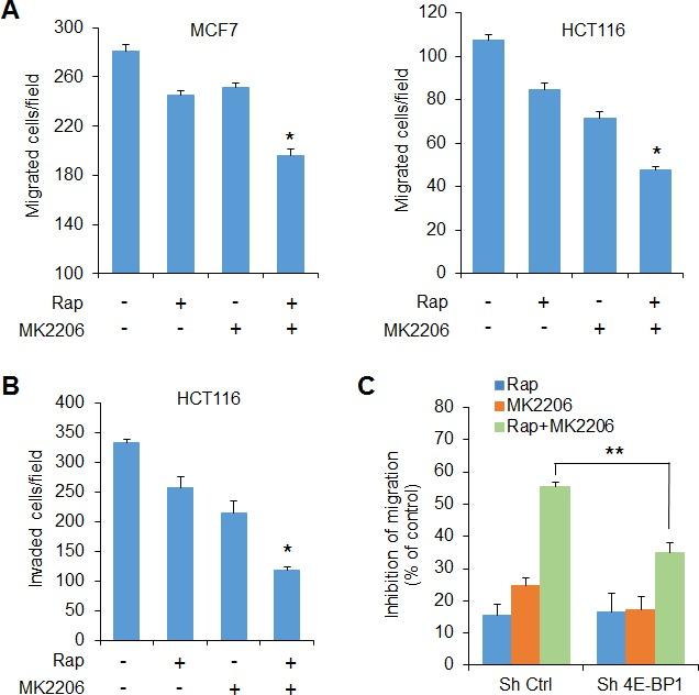 https://cdn.ncbi.nlm.nih.gov/pmc/blobs/945d/4546444/1ae88ce57584/oncotarget-06-13962-g003.jpg