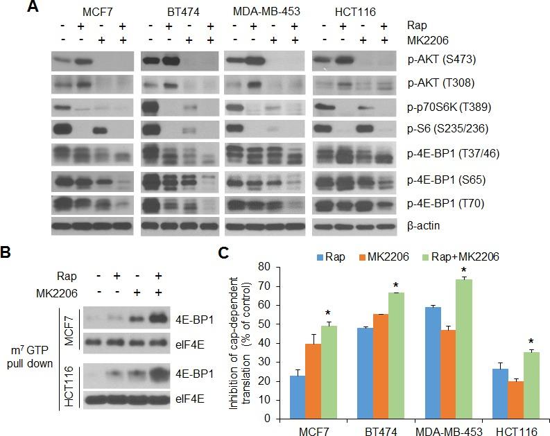 https://cdn.ncbi.nlm.nih.gov/pmc/blobs/945d/4546444/83d56ec155cb/oncotarget-06-13962-g001.jpg