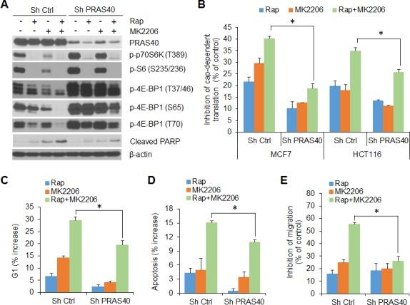https://cdn.ncbi.nlm.nih.gov/pmc/blobs/945d/4546444/c3a52673cc4b/oncotarget-06-13962-g006.jpg