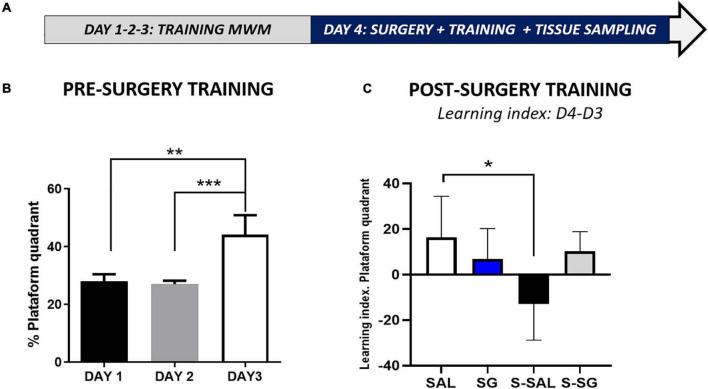 https://cdn.ncbi.nlm.nih.gov/pmc/blobs/945f/8900639/772ce21dc446/fncel-16-789796-g006.jpg