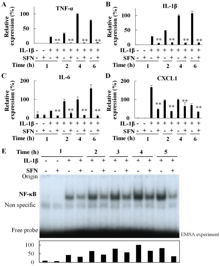 https://cdn.ncbi.nlm.nih.gov/pmc/blobs/9460/10778753/5ed9a70b97f0/ijms-25-00579-g009.jpg