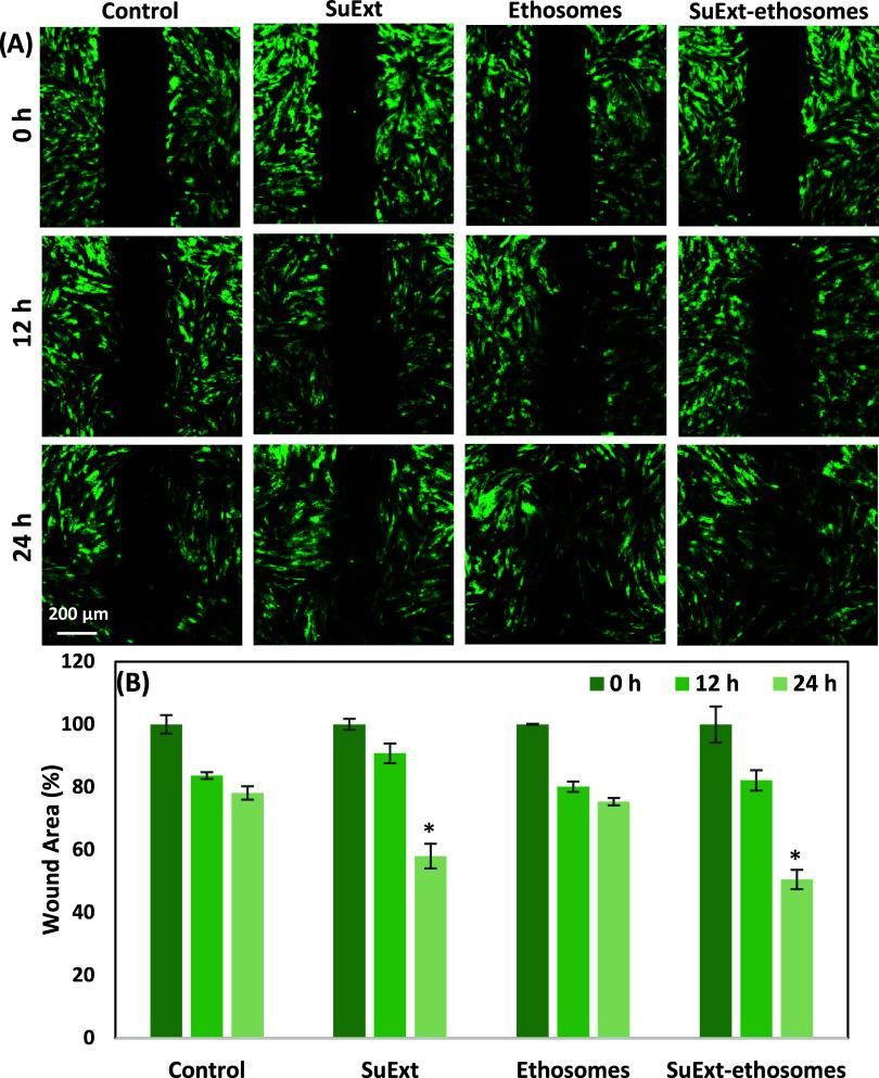 https://cdn.ncbi.nlm.nih.gov/pmc/blobs/9461/12224110/4fef08a00ed0/ao5c00910_0004.jpg