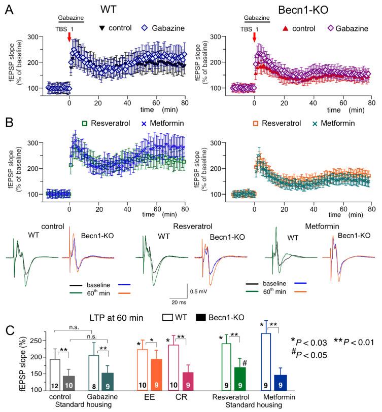 https://cdn.ncbi.nlm.nih.gov/pmc/blobs/9462/9408861/4b696dc730a6/ijms-23-09228-g008.jpg
