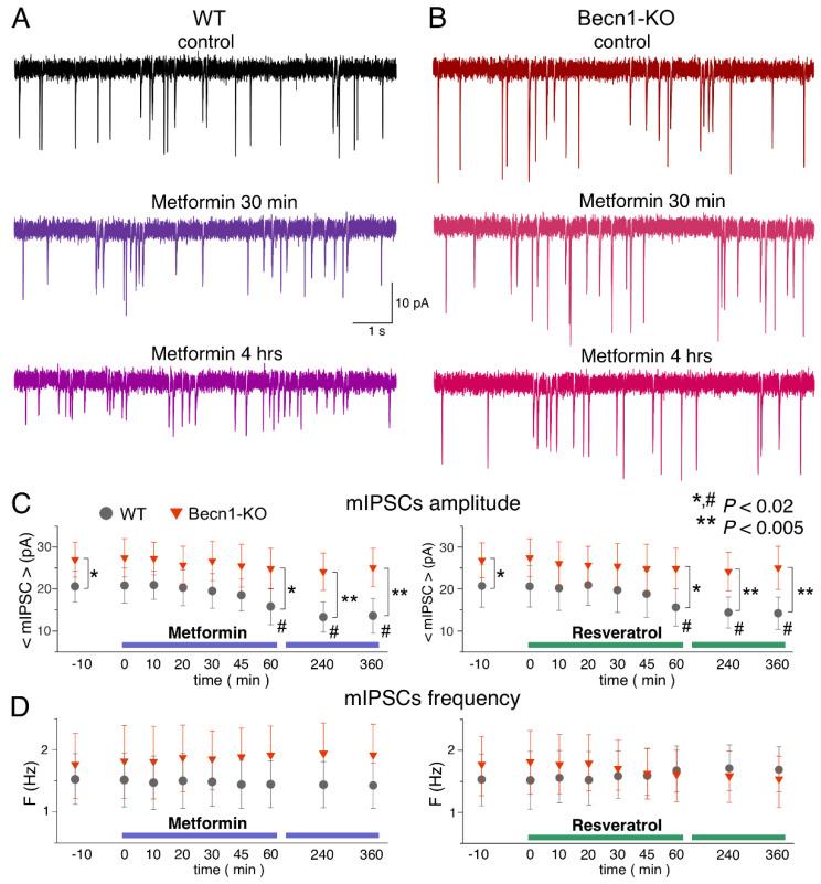 https://cdn.ncbi.nlm.nih.gov/pmc/blobs/9462/9408861/f88baaeef91d/ijms-23-09228-g005.jpg