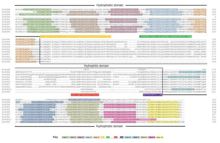 https://cdn.ncbi.nlm.nih.gov/pmc/blobs/9463/6650889/cb0492cd72a9/ijms-20-03270-g003.jpg