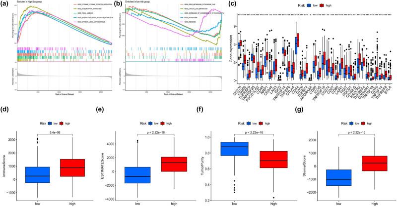 https://cdn.ncbi.nlm.nih.gov/pmc/blobs/9464/10512444/ed141b9b70fc/j_med-2023-0773-fig007.jpg