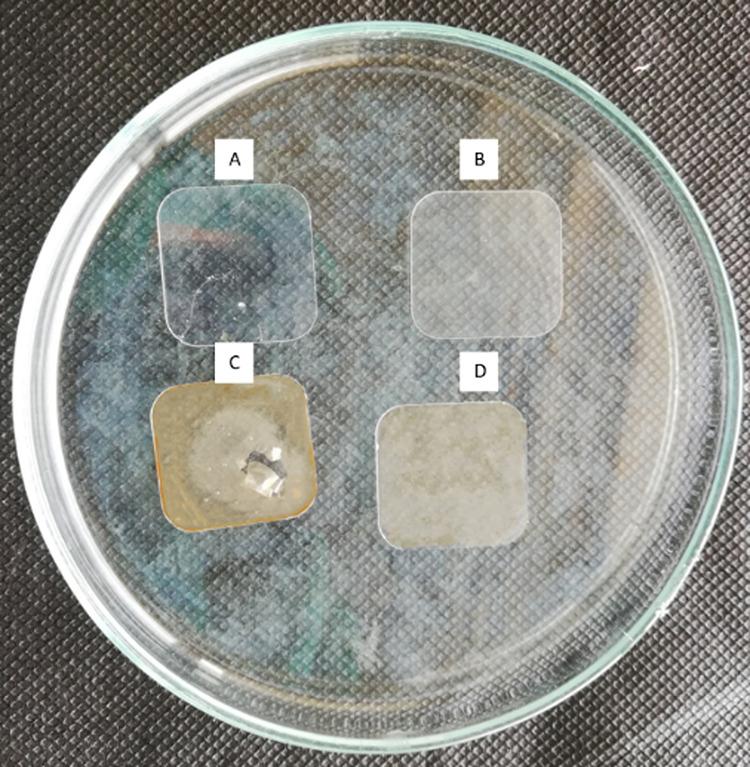 https://cdn.ncbi.nlm.nih.gov/pmc/blobs/9465/10210209/2022138df5ca/ao3c00191_0008.jpg