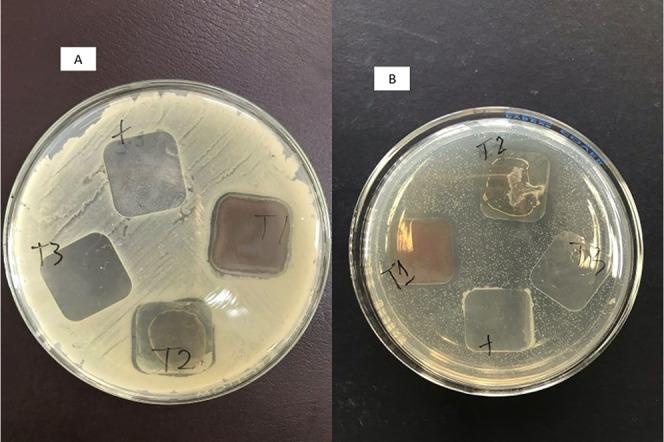 https://cdn.ncbi.nlm.nih.gov/pmc/blobs/9465/10210209/ddadf17c6b70/ao3c00191_0009.jpg