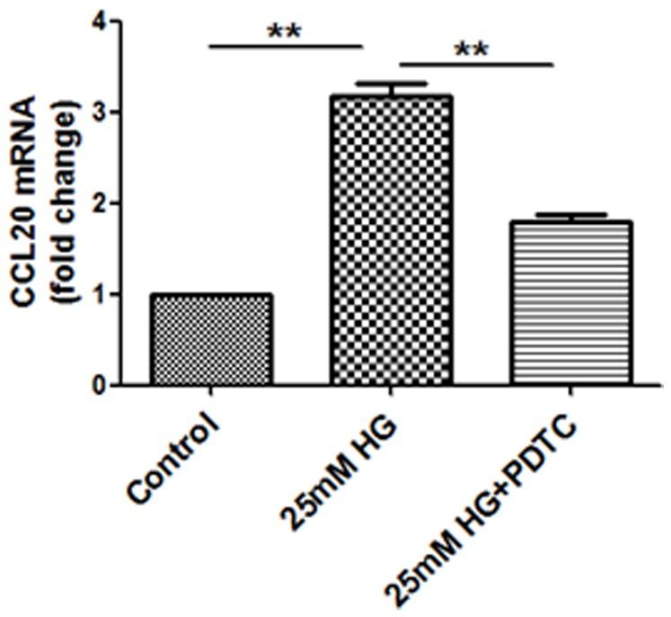 https://cdn.ncbi.nlm.nih.gov/pmc/blobs/9465/3986377/db736111b1b5/pone.0095173.g002.jpg
