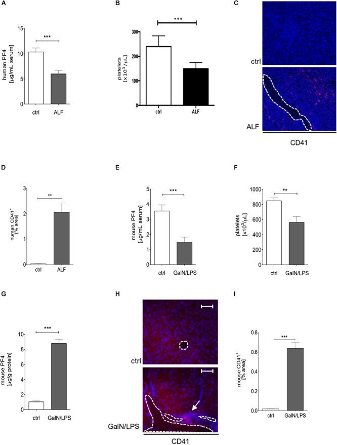 https://cdn.ncbi.nlm.nih.gov/pmc/blobs/9466/6444115/9ef97fde7df9/fphys-10-00326-g001.jpg