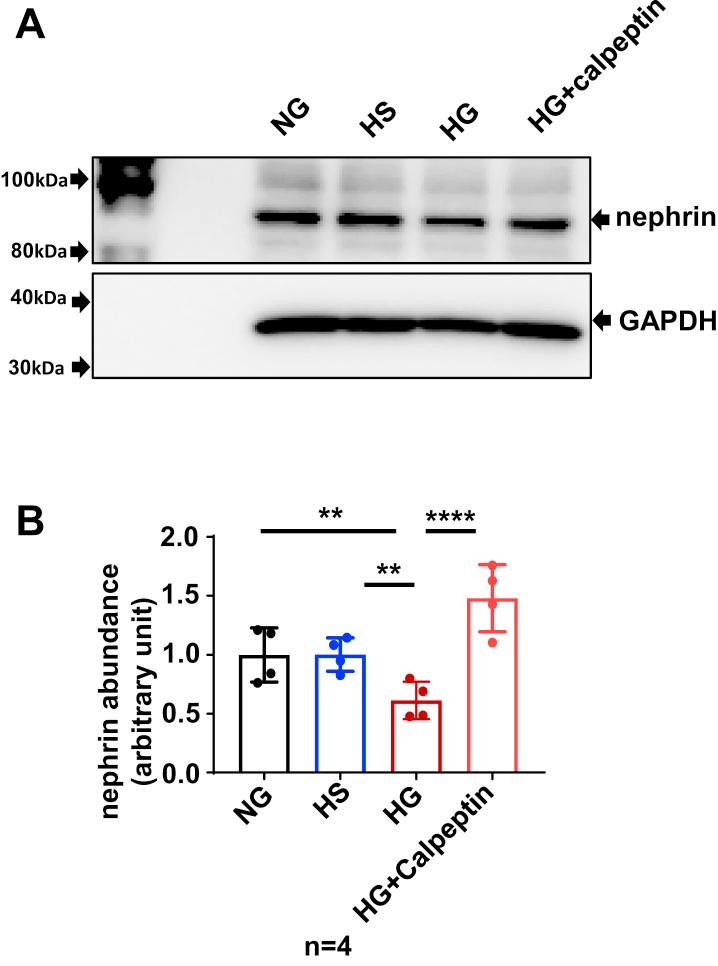 https://cdn.ncbi.nlm.nih.gov/pmc/blobs/9467/9136128/3579c403cc04/gr7.jpg