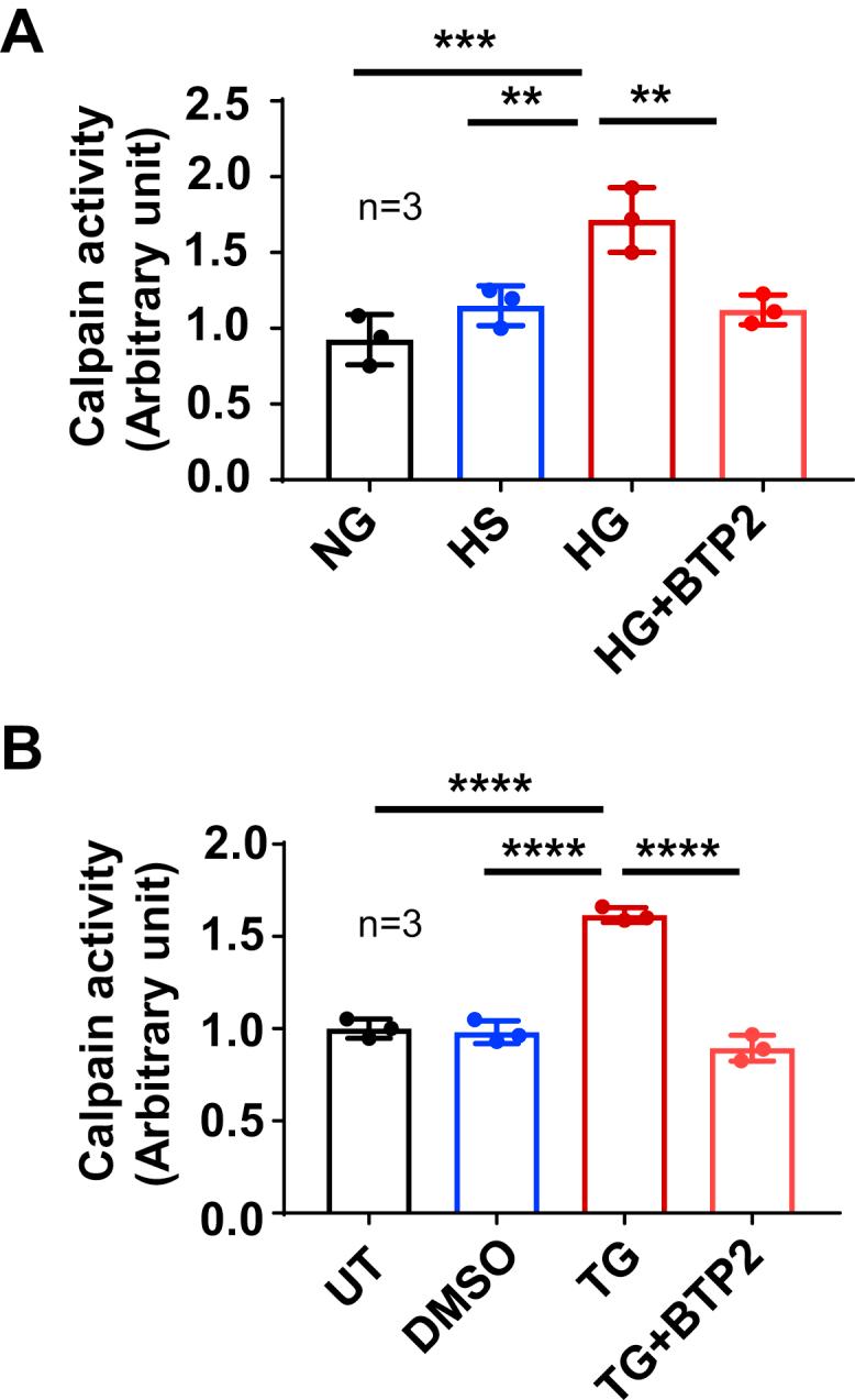 https://cdn.ncbi.nlm.nih.gov/pmc/blobs/9467/9136128/725519f76f54/gr6.jpg