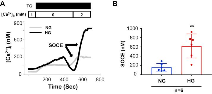https://cdn.ncbi.nlm.nih.gov/pmc/blobs/9467/9136128/accb4ef915e0/gr3.jpg