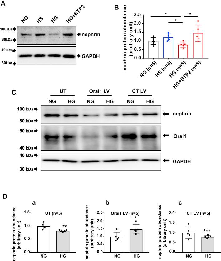 https://cdn.ncbi.nlm.nih.gov/pmc/blobs/9467/9136128/bb02209d3577/gr4.jpg