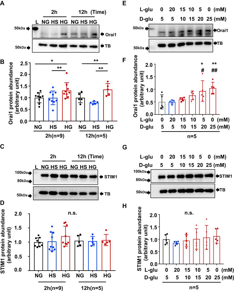 https://cdn.ncbi.nlm.nih.gov/pmc/blobs/9467/9136128/fffc7ed1e76d/gr2.jpg