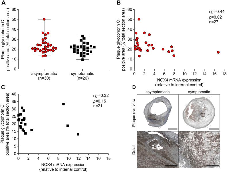 https://cdn.ncbi.nlm.nih.gov/pmc/blobs/9467/9526188/b6044410a349/gr6.jpg