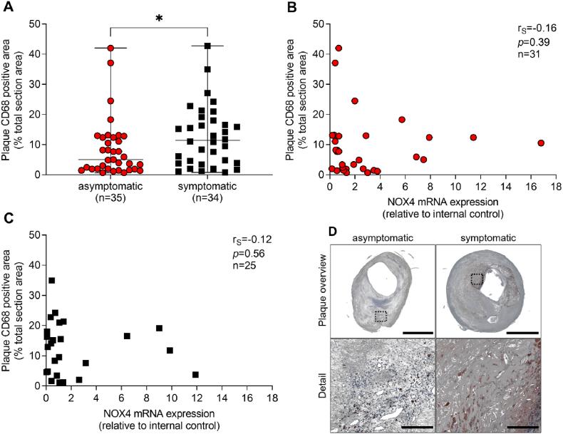https://cdn.ncbi.nlm.nih.gov/pmc/blobs/9467/9526188/c089b3379166/gr8.jpg