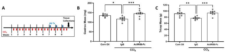 https://cdn.ncbi.nlm.nih.gov/pmc/blobs/9468/10377408/17b11966da33/biomedicines-11-01909-g003.jpg