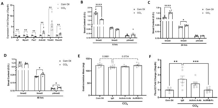 https://cdn.ncbi.nlm.nih.gov/pmc/blobs/9468/10377408/535721471a3a/biomedicines-11-01909-g001.jpg