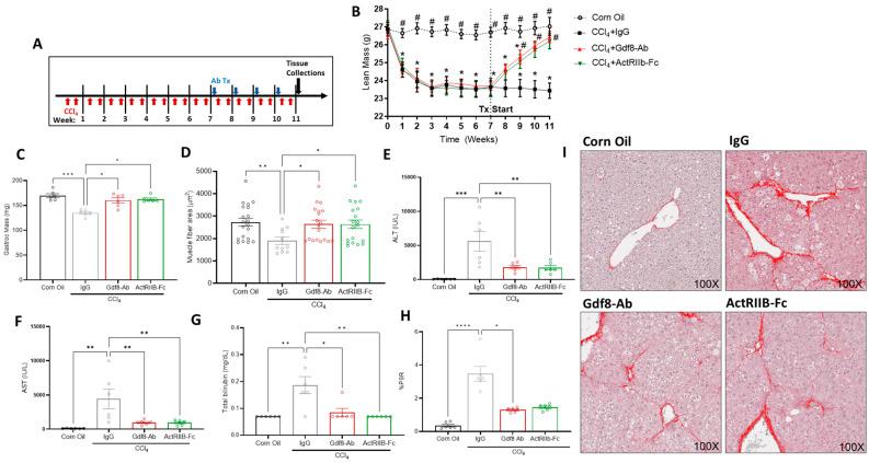 https://cdn.ncbi.nlm.nih.gov/pmc/blobs/9468/10377408/5a13e3409948/biomedicines-11-01909-g007.jpg
