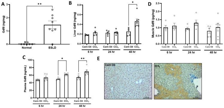 https://cdn.ncbi.nlm.nih.gov/pmc/blobs/9468/10377408/7ce61e2f56db/biomedicines-11-01909-g004.jpg