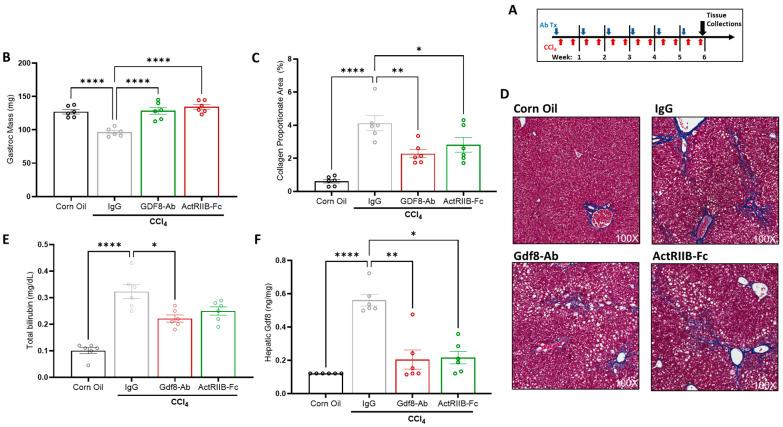https://cdn.ncbi.nlm.nih.gov/pmc/blobs/9468/10377408/867c41920f2c/biomedicines-11-01909-g006.jpg