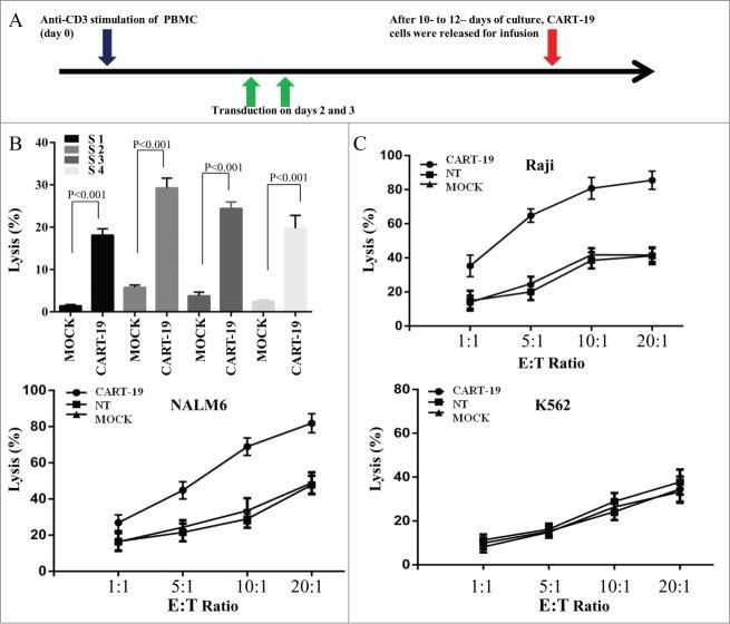 https://cdn.ncbi.nlm.nih.gov/pmc/blobs/946b/4590028/14e843704759/koni-04-11-1027469-g001.jpg