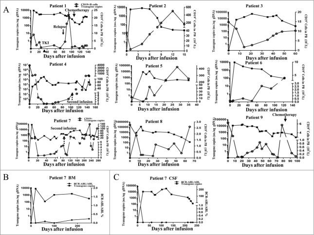 https://cdn.ncbi.nlm.nih.gov/pmc/blobs/946b/4590028/b8f55f34d2aa/koni-04-11-1027469-g002.jpg