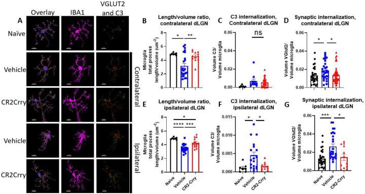 https://cdn.ncbi.nlm.nih.gov/pmc/blobs/946e/10925413/4820cabb96d4/nihpp-rs3970621v1-f0004.jpg