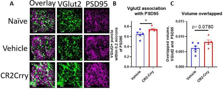 https://cdn.ncbi.nlm.nih.gov/pmc/blobs/946e/10925413/6b3e2a783e0c/nihpp-rs3970621v1-f0007.jpg