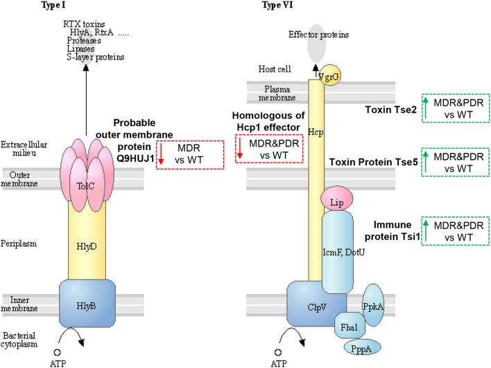 https://cdn.ncbi.nlm.nih.gov/pmc/blobs/9471/8959810/98e777470d8d/fmed-09-818669-g0005.jpg