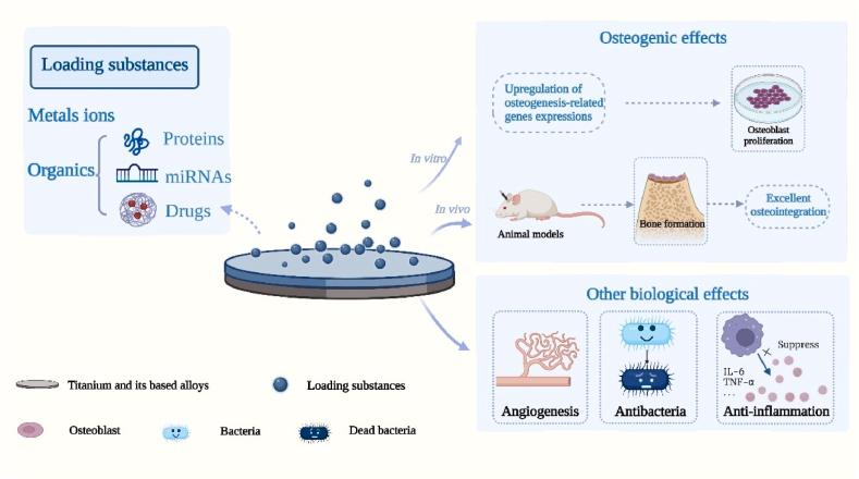 https://cdn.ncbi.nlm.nih.gov/pmc/blobs/9472/10784177/d9cd1c8822b8/gr1.jpg