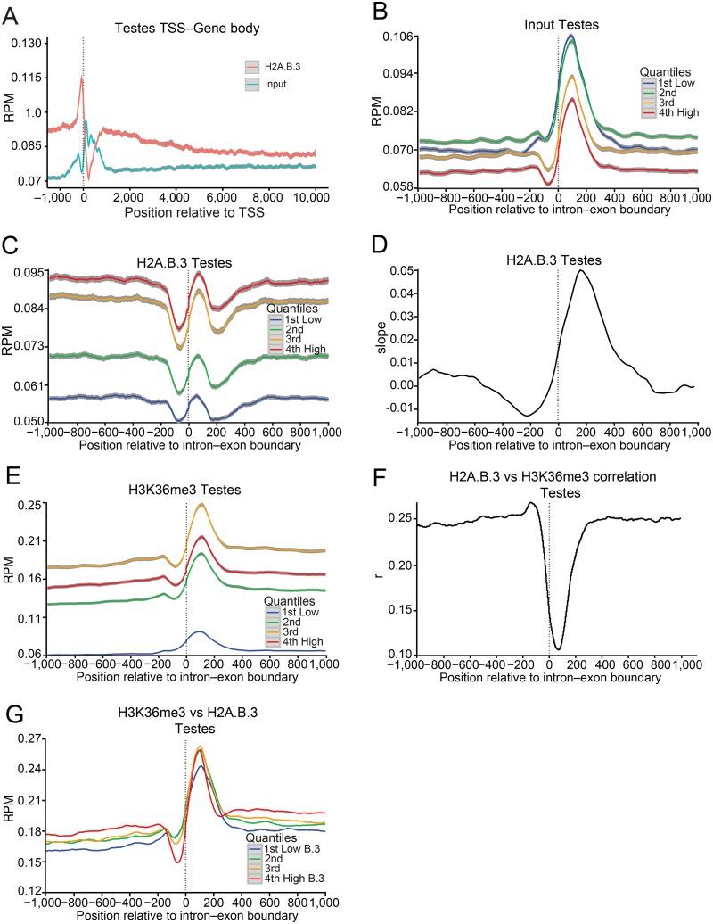 https://cdn.ncbi.nlm.nih.gov/pmc/blobs/9474/5345878/bae43e00a9e6/pgen.1006633.g001.jpg
