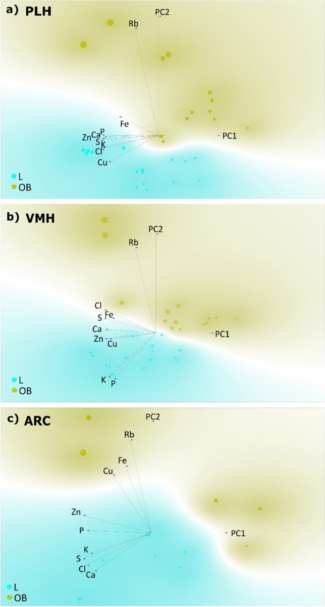 https://cdn.ncbi.nlm.nih.gov/pmc/blobs/9477/12081528/d3399cba3f97/429_2025_2930_Fig5_HTML.jpg