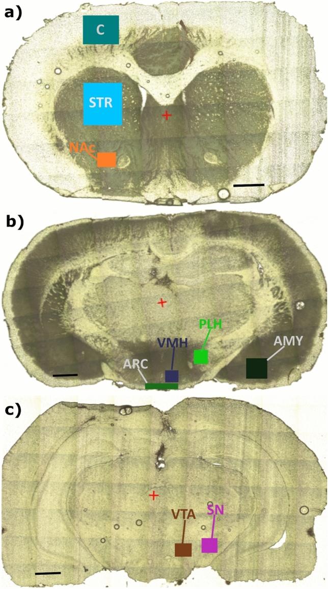 https://cdn.ncbi.nlm.nih.gov/pmc/blobs/9477/12081528/de5b06fce8b3/429_2025_2930_Fig1_HTML.jpg